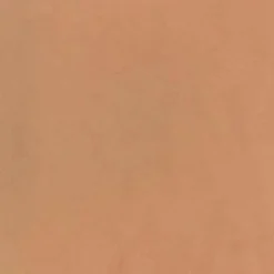 Cassina 413 Cab Armlehnstuhl Leder| Stühle