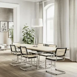 Stühle^Thonet Aktionsset S 32 V Freischwinger Stuhl + Fell