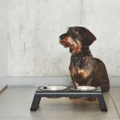 Heimtierbedarf^MiaCara Bergamo Hundehalsband SM