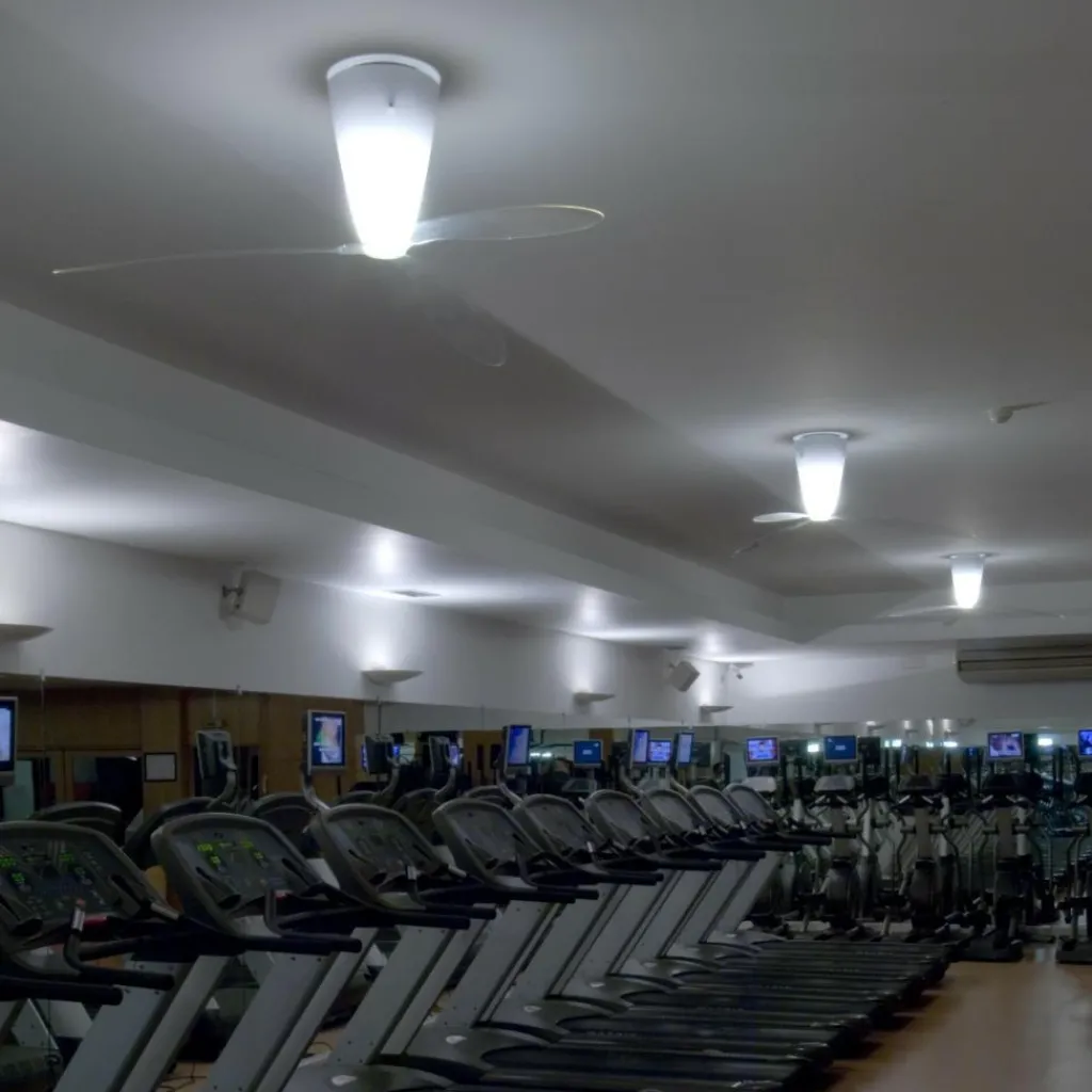 Luceplan Blow D28 Deckenventilator und Deckenleuchte| Deckenleuchten