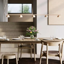 Northern Blush Rail 5 LED Pendelleuchte| Pendelleuchten