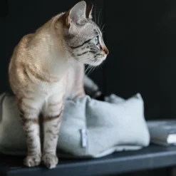 MiaCara Calma Katzenbett Hexagon| Heimtierbedarf