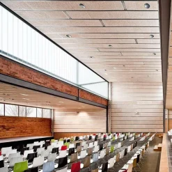 Arper Catifa 46 0287 Armlehnstuhl einf. Kufe Chrom| Stühle