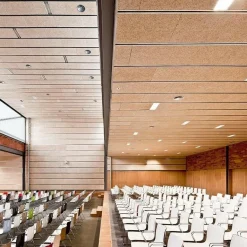 Arper Catifa 46 0287 Armlehnstuhl einf. Kufe Chrom| Stühle