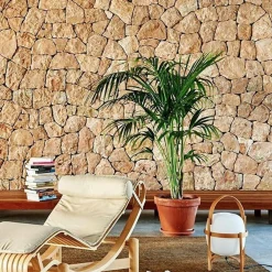 Santa & Cole Cesta Tischleuchte| Tischleuchten