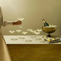 Eva Solo Champagnerglas| Gläser|Barzubehör