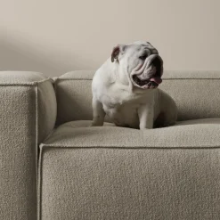 Bolia Cosima Modulsofa mit großer Ecke 300x120cm| Sofas