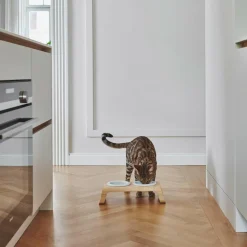 MiaCara Desco Katzenapfständer Holz mit Porzellannäpfen| Heimtierbedarf