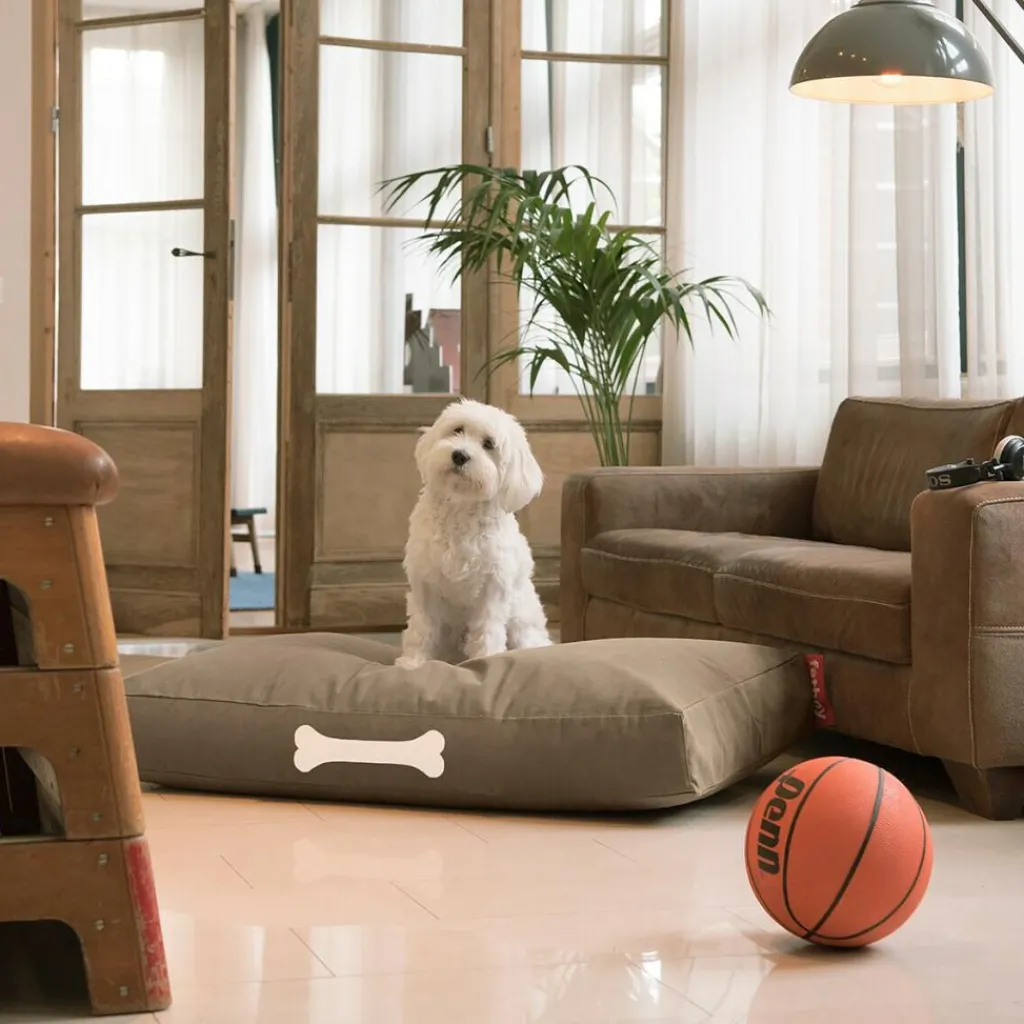 Fatboy Doggielounge Hundebett L 120x75cm Canvas| Heimtierbedarf
