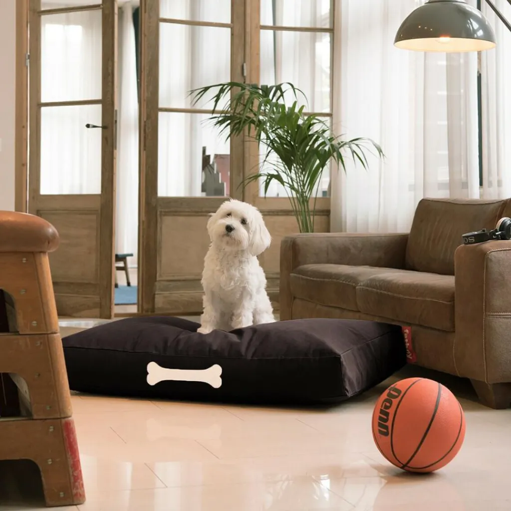 Fatboy Doggielounge Hundebett L 120x75cm Canvas| Heimtierbedarf