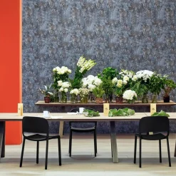 Stühle^Pedrali Dome 260 Gartenstuhl