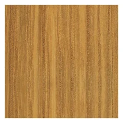 Vitra Eames Fiberglass Side Chair DSW Gestell Esche| Stühle