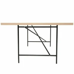 Richard Lampert Eiermann 1 Tisch 160x80cm Gestell mittig 110x66x66cm| Schreibtische