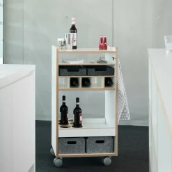 Container|Container^Tojo Fahrbar Rollwagen mit Flascheneinsatz liegend