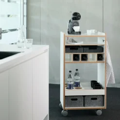 Container|Container^Tojo Fahrbar Rollwagen mit Flascheneinsatz liegend