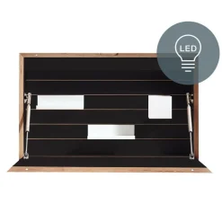 Müller Small Living Flatbox LED Wandsekretär mit Soft-Touch Schalter| Tische|Sekretäre