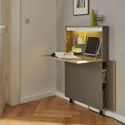 Tische|Sekretäre^Müller Small Living Flatmate Wandsekretär mit Birkenkante