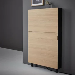Tische|Sekretäre^Müller Small Living Flatmate Wandsekretär mit Birkenkante