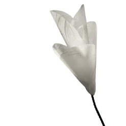 Catellani & Smith For You LED Tischleuchte| Tischleuchten