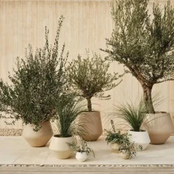 Bolia Grove Blumentopf Ø 66cm| Blumentöpfe