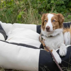 Heimtierbedarf^HAY Hundebett L