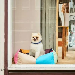 Heimtierbedarf^HAY Hundehalsband S/M