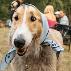 HAY Hundehalstuch recycelt 55x55cm| Heimtierbedarf