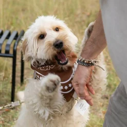 HAY Hundehalstuch 55x55cm| Heimtierbedarf