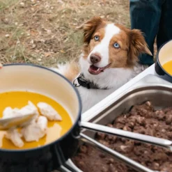 Heimtierbedarf^HAY Hundenapf L