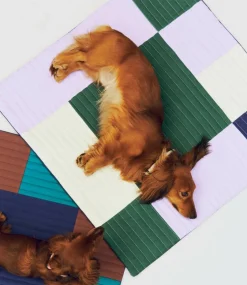 HAY Hundereisedecke 80x80cm| Heimtierbedarf