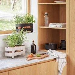 Blumentöpfe^Eva Solo Kräutertopf mit Selbstbewässerung