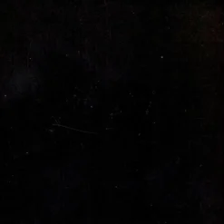 Lapalma LEM S79 Barhocker Sitzfläche Eiche 63-75cm| Barhocker