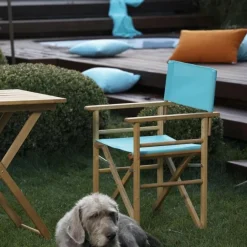 Jan Kurtz Maxx Regiesessel| Stühle