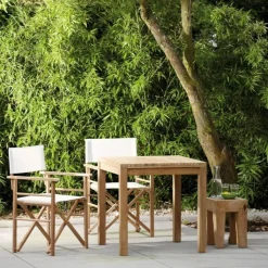 Jan Kurtz Maxx Regiesessel 2er Set| Stühle|Gartenstühle