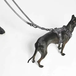 MiaCara Modena Hundeleine 25mm| Heimtierbedarf