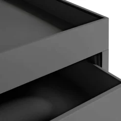 Container|Container^HAY New Order Rollwagen B