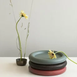 Northern Observe Tablett| Tabletts