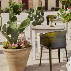 Kartell Papyrus Armlehnstuhl| Stühle