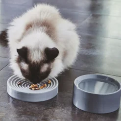 MiaCara Piatto Katzennapf S| Heimtierbedarf