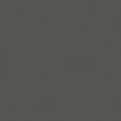 Plank Remo Plastic Gartenstuhl einfarbig| Stühle|Gartenstühle