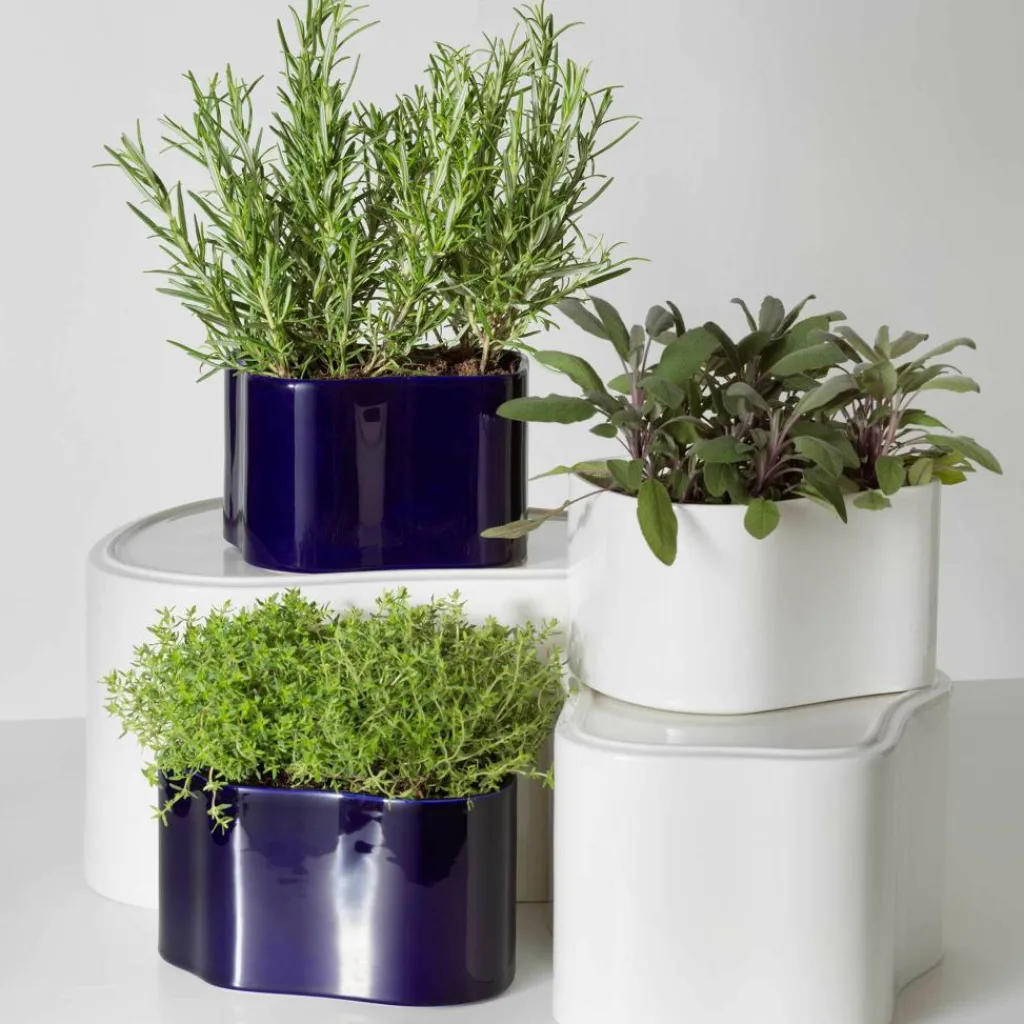 Blumentöpfe^Artek Riihitie A Pflanzgefäß L