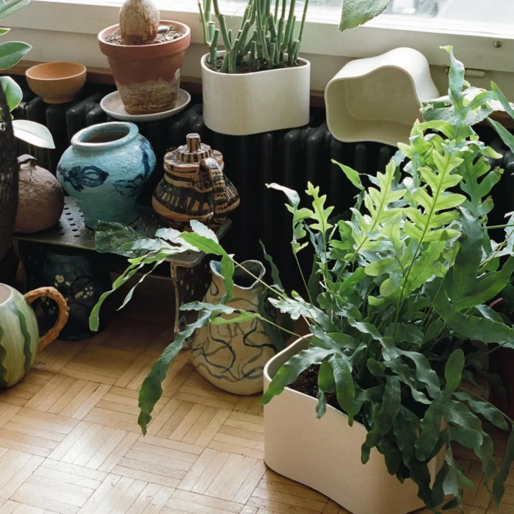 Blumentöpfe^Artek Riihitie A Pflanzgefäß S