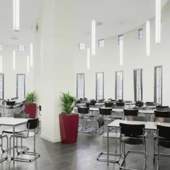 Stühle^Thonet S 43 ST Freischwinger Stuhl