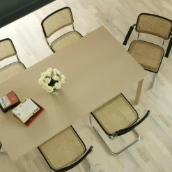 Thonet S 32 V Freischwinger Stuhl mit Rohrgeflecht| Stühle