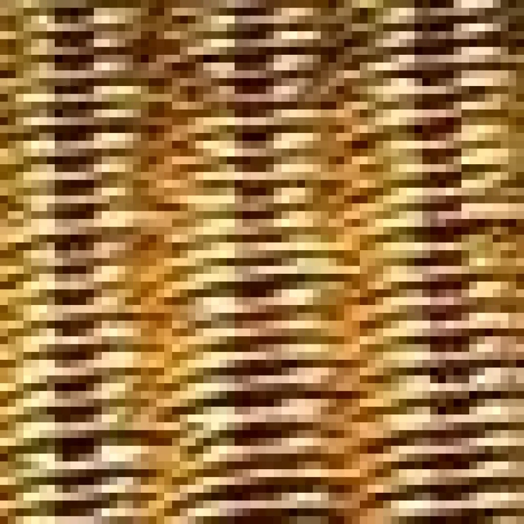 Cappellini S-Chair Stuhl| Stühle