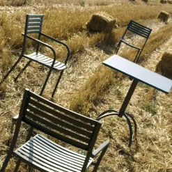 Stühle^Emu Segno Gartenarmlehnstuhl