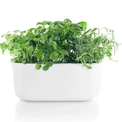 Blumentöpfe^Eva Solo Selbstbewässernder Kräuterbehälter