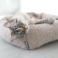 MiaCara Senso Box Katzenbett| Heimtierbedarf|Körbe & Taschen