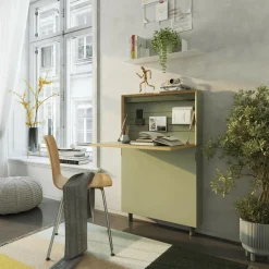 Müller Small Living Special Edition Flatmate Linoleum Wandsekretär| Tische|Sekretäre