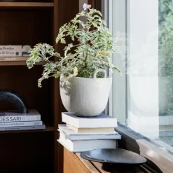 Vasen^Ferm Living Speckle Blumentopf